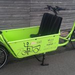 Thumbnail das den Artikel Danni zeigt.